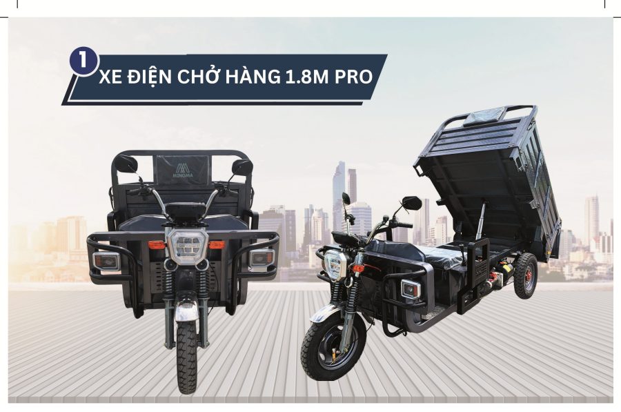 Xe Điện 3 Bánh Chở Hàng 2 Tấn Động Cơ 1800W80H